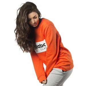 Bluza Damskie Reebok Classic Crew Neck Pomarańczowe PL 38MNQWY